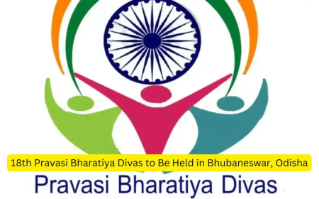 NRI Day: महात्मा गांधी के भारत लौटने से जुड़ा है प्रवासी भारतीय दिवस का इतिहास