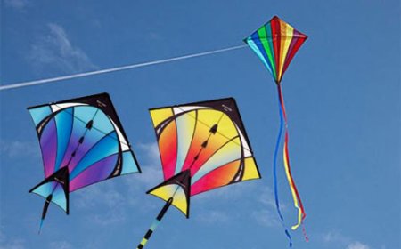 मकर संक्रांति पर छाया पतंगों का खुमार