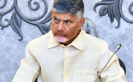 दो से ज्यादा होंगे बच्चे तो मिलेगा पद, मुख्यमंत्री चंद्रबाबू का एलान