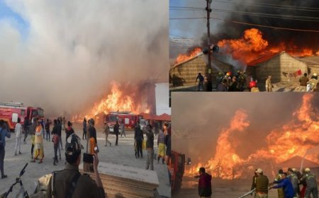 महाकुंभ में भड़की आग: करपात्र धाम वाराणसी और गीता प्रेस गोरखपुर के शिविर में लगी आग, 10 से ज्यादा एलपीजी सिलेंडरों में धमाके