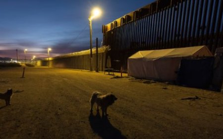 अमेरिका की दक्षिणी सीमा पर 1500 से ज्यादा सैनिक तैनात