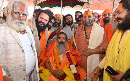 स्वामी नरसिंह दास महाराज का महाकुंभ में पट्टाभिषेक