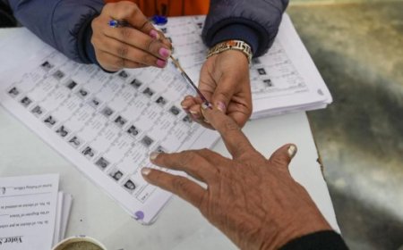 दिल्ली चुनाव:3 बजे तक 46.55 फीसदी मतदान