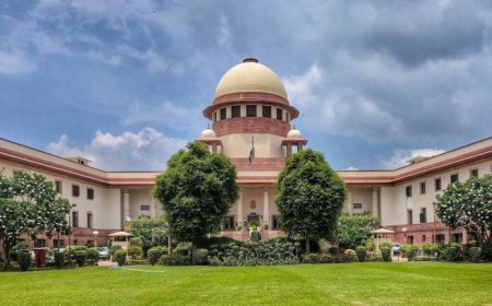 हाईकोर्ट में ओबीसी प्रकरणों की सुनवाई पर सुप्रीम कोर्ट ने लगाई रोक 