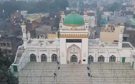 150 साल पुरानी सर्वे रिपोर्ट में भी संभल की जामा मस्जिद में मंदिर के साक्ष्य