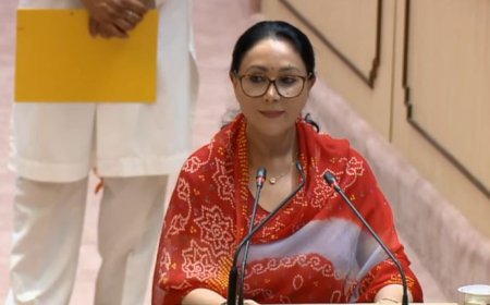 सवा लाख नौकरी के साथ 150 यूनिट बिजली मुफ्त देने का एलान, राजस्थान के वित्त मंत्री दीया कुमारी ने पेश किया बजट