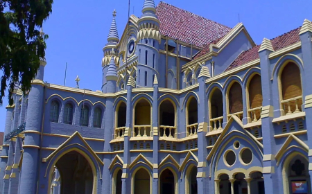 हाईकोर्ट का फैसला: 24 सप्ताह तक की प्रेग्नेंसी पर पॉक्सो कोर्ट करेगी सुनवाई, डीएनए टेस्ट के लिए भ्रूण सुरक्षित रखने के निर्देश