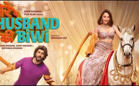 मेरे हसबैंड की बीवी का नहीं चला दर्शकों पर जोर, छावा ने की रिकॉर्ड तोड़ कमाई 