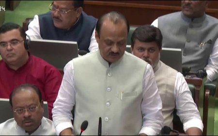 महाराष्ट्र:  विधानसभा में अजित पवार ने पेश किया राज्य का 11वां बजट