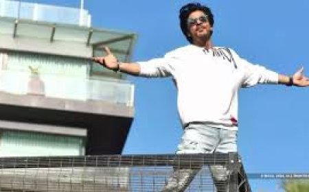 मन्नत का रेनोवेशन अटका, शाहरुख खान पर लगे कई आरोप