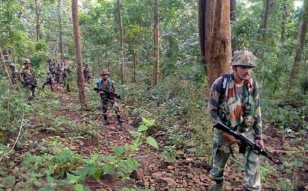नक्सलियों के खिलाफ सुरक्षाबलों का ऑपरेशन जारी 
