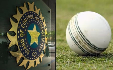 बीसीसीआई ने आईपीएल 2025 में गेंद पर लार के इस्तेमाल से हटाया प्रतिबंध