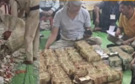 करीला मेले में आया लाखों का चढ़ावा, गिनती करते हुए थके कर्मचारी