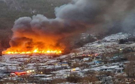 साउथ कोरिया के जंगलों में लगी भीषण आग, 18 की मौत, 19 घायल