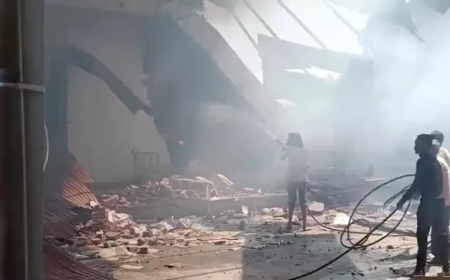 गुजरात के पटाखा फैक्ट्री में लगी आग, 13 की मौत, 4 घायल  