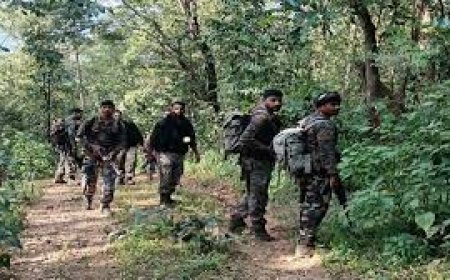 मंडला मुठभेड़ में हॉक फोर्स का एक्शन, 14-14 लाख की इनामी दो महिला नक्सली ढेर