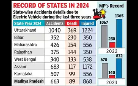 ईवी से मौत के मामले में एमपी देश में 8वें स्थान पर पहुंचा, 2024 में 89 मौतें हुईं
