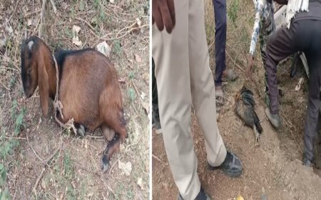 चरगवां दर्दनाक हादसे में नया खुलासा