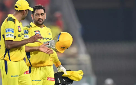 क्रीज पर आते ही दिखा धोनी का जादू, फुल पैसा वसूल रहा मैच