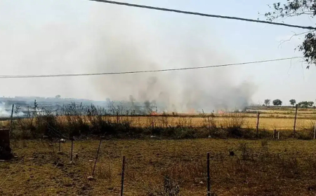 सतना में नरवाई जलाने पर 30 किसानों पर एफआईआर दर्ज, कलेक्टर के आदेश को किया था नजरअंदाज