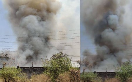 भोपाल में भेल के गेट नंबर 9 के पास लगी आग, कई किलोमीटर दूर से दिख रहा धुंआ