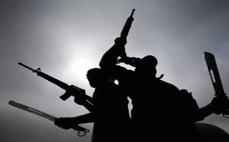 कश्मीर में मौजूद लोकल टेररिस्ट की लिस्ट जारी 