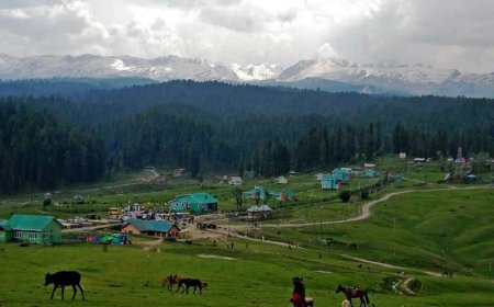 जम्मू-कश्मीर सरकार का बड़ा फैसला- 48 पर्यटक स्थल अस्थायी तौर पर हुए बंद