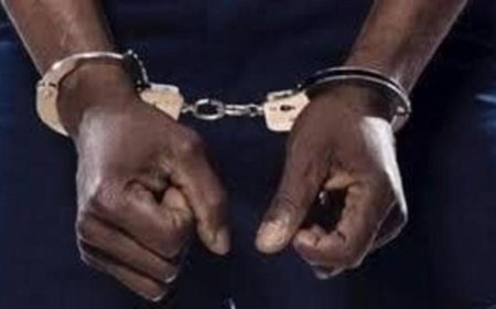 ऑपरेशन सिंदूर के बाद देशभक्ति चरम पर, अवैध घुसपैठियों पर सख्ती