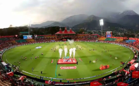 बीसीसीआई का बड़ा फैसला- 17 मई से फिर से शुरू होगा आईपीएल 