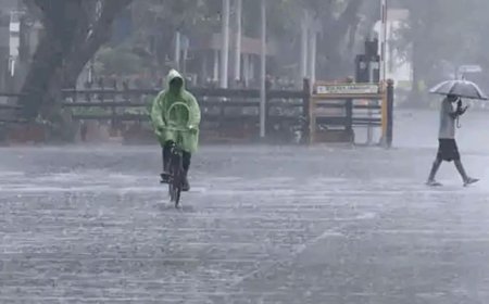 महाराष्ट्र पहुंचा मानसून, 12 दिन पहले दी दस्तक