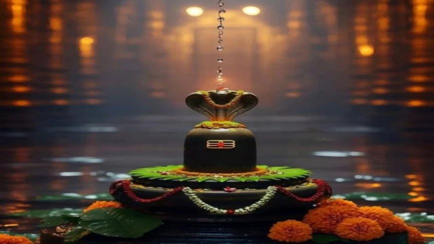 भोलेनाथ की कृपा पाने का सरल तरीका, जाने कौन सी चीज चढ़ाने से मिलता है कौनसा फल