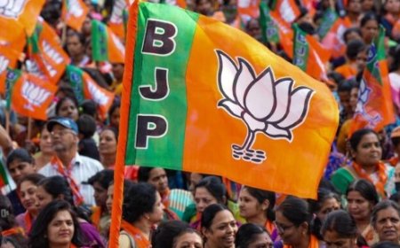 असम चुनाव के लिए भाजपा ने जारी किया उम्मीदवार का नाम,19 जून को होंगे चुनाव