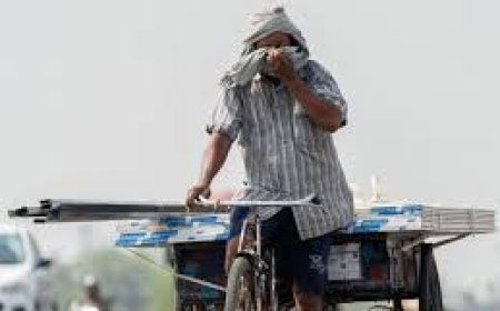 भीषण गर्मी ने किया परेशान, मानसून से लगी आस