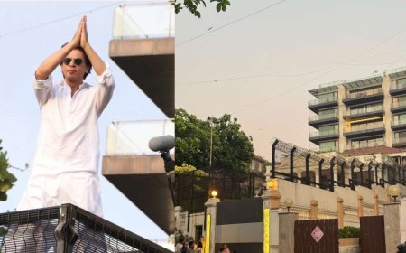 शाहरुख खान के मन्नत पहुंची BMC और वन विभाग के जॉइंट टीम