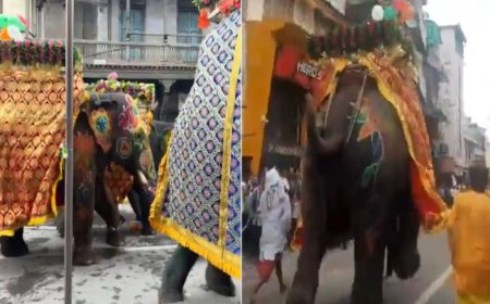 कार्यक्रम के दौरान बेकाबू हुआ हाथी, लोगों में मची चीख-पुखार