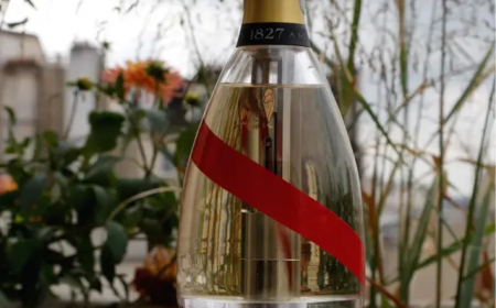 इंसान के बाद स्पेस में पहुंचा जाम, पहले शैंपेन बोतल का परीक्षण शुरू