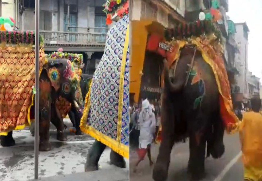 कार्यक्रम के दौरान बेकाबू हुआ हाथी, लोगों में मची चीख-पुखार