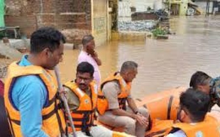 सतना, मैहर और चित्रकूट में मूसलाधार बारिश से जनजीवन अस्त-व्यस्त, सड़कों पर चल रहीं नावें 
