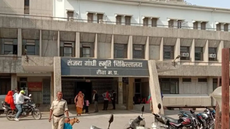 रीवा: नर्सिंग छात्राओं ने ड्यूटी करने से किया इनकार, डॉ.अशरफ पर लगाया छेड़छाड़ का आरोप 