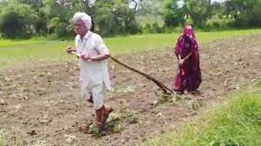 सिहोर में 90 साल का बुजुर्ग किसान स्वयं ही जोत रहा खेत, वायरल वीडियो पर क्रांग्रेस  ने दी प्रतिक्रिया 
