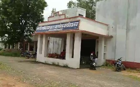 मऊगंज के शासकीय कॉलेज में स्मार्ट क्लास के दौरान चला भोजपुरी गाना, वीडियो वायरल होने पर कार्रवाई शुरू