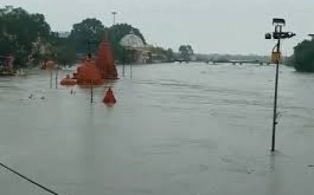 उज्जैन में झमाझम बारिश से शिप्रा नदी उफान पर, रामघाट के मंदिर डूबे